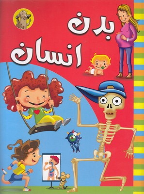 بدن انسان