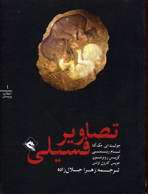 تصاویر فسیلی