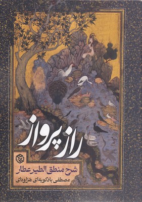 راز پرواز
