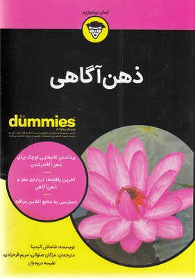 ذهن آگاهی