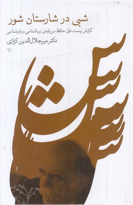 شبی در شارستان شور