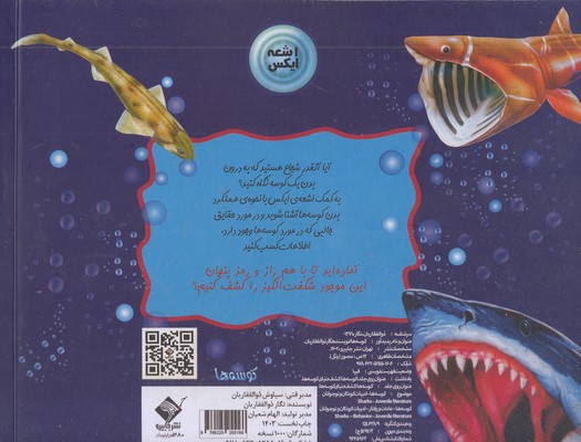 اشعه ایکس-کوسه ها - تصویر 2