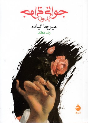 جوانی بدون جوانی