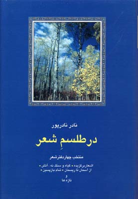 در طلسم شعر