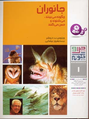جانوران چگونه می بینند، می شنوند و حس می کنند-چرا و چگونه-1