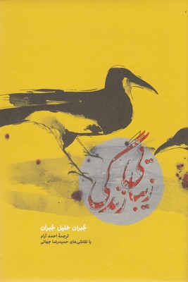 زیبایی زندگی