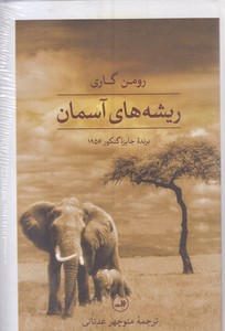 ریشه های آسمان