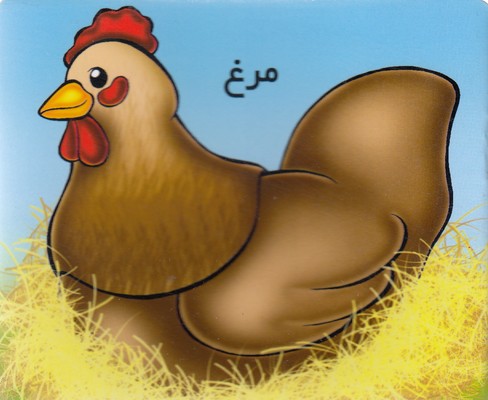 آموزش خردسال-مرغ