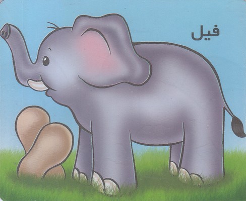 آموزش خردسالان-فیل