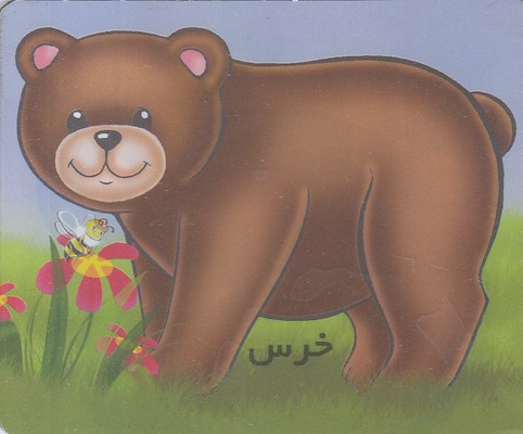 آموزش خردسالان-خرس