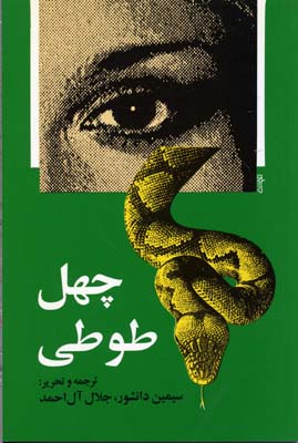 چهل طوطی